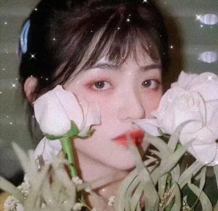 路德维希